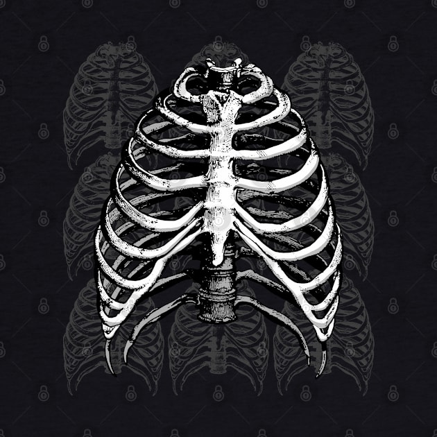 RIBCAGE by Aries Custom Graphics